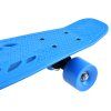 Skateboard FISZKA pro děti 50 kg