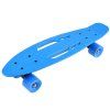 Skateboard FISZKA pro děti 50 kg