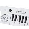 Elektronické varhany Keyboard s rukojetí + mikrofon 37 kláves 4