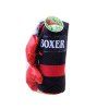 Boxerský set rukavice + pytel