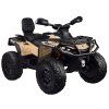 Dětská elektrická čtyřkolka CAN-AM OUTLANDER pro 2 osoby 4x4