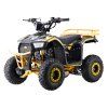 Benzínová čtyřkolka EXPLORER 110 ccm žlutá